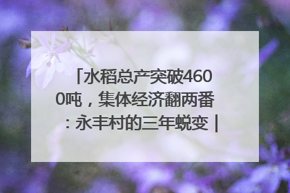 水稻总产突破4600吨，集体经济翻两番：永丰村的三年蜕变｜您牵挂的四川